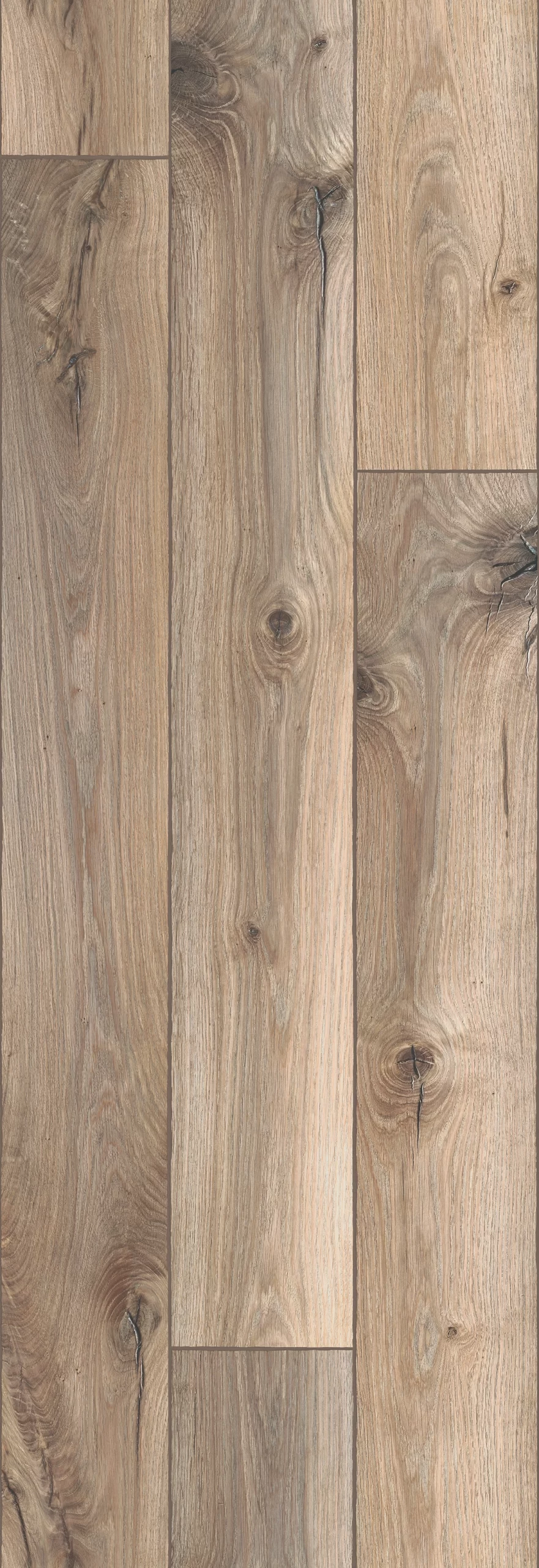 2434863 001 scan scaled Parato Friends 2434863 Marburg H53 Effetto Legno su Muro Parato Friends 2434863 Marburg H53